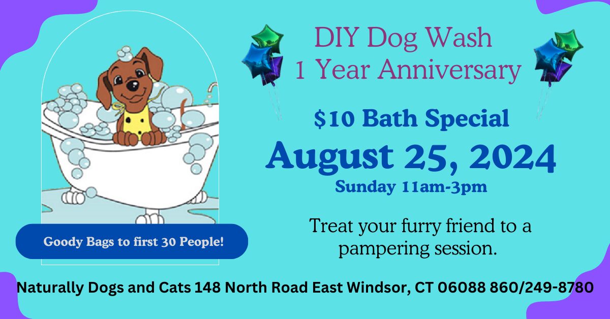 1 Year DIY Dog Wash Anniversary Celebration @ Naturally Dogs & Cats