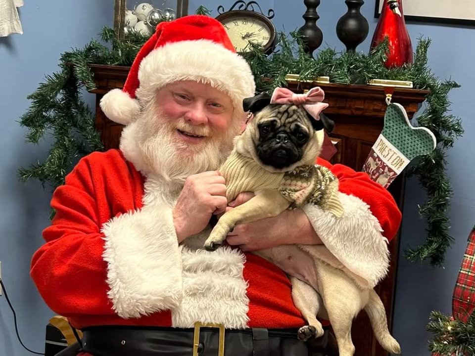 Photos With Santa (for Your Furry Buddy) @ Naturally Dogs & Cats